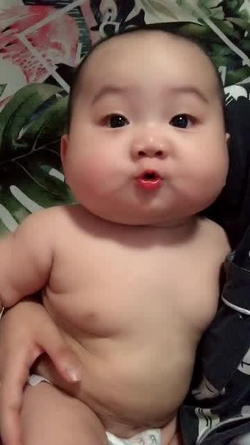 萌寶肥嘟嘟 白白嫩嫩豬寶寶，天真可愛惹人憐